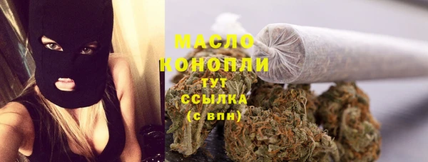 гидра Киренск