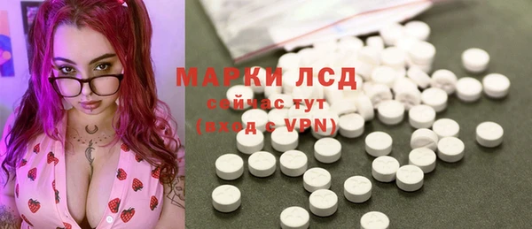 гидра Киренск