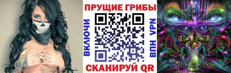 Купить закладки  Рассказово  Галлюциногенные грибы мухоморы 